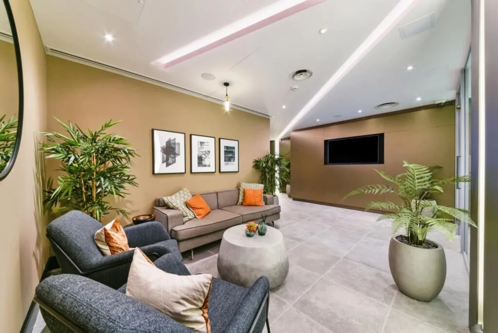 1 bedroom apartment for rent