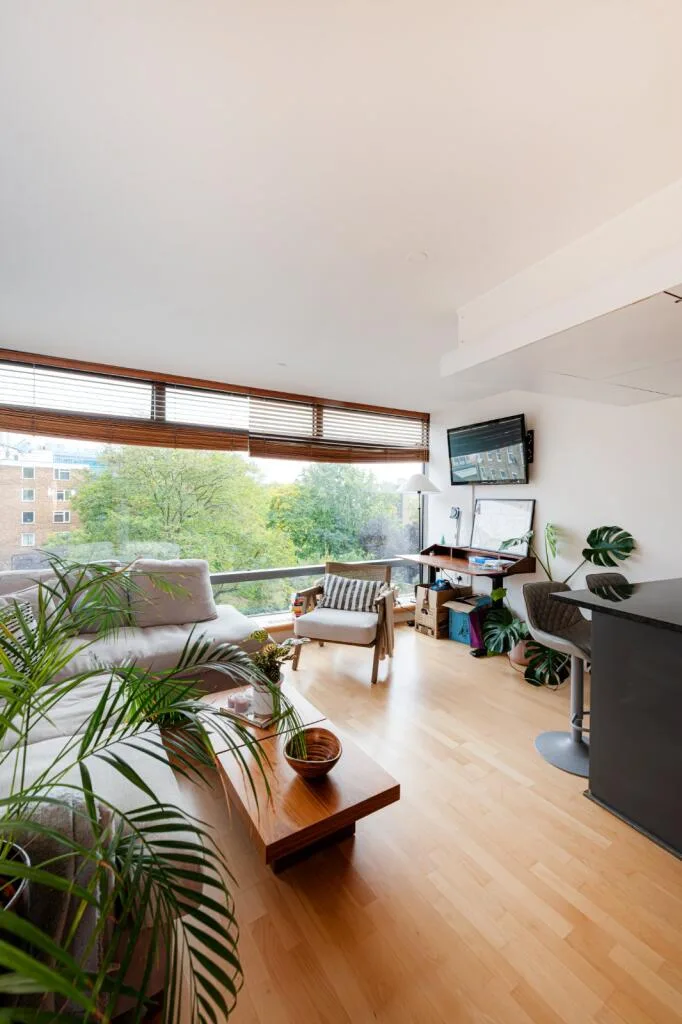 1 bedroom apartment for rent