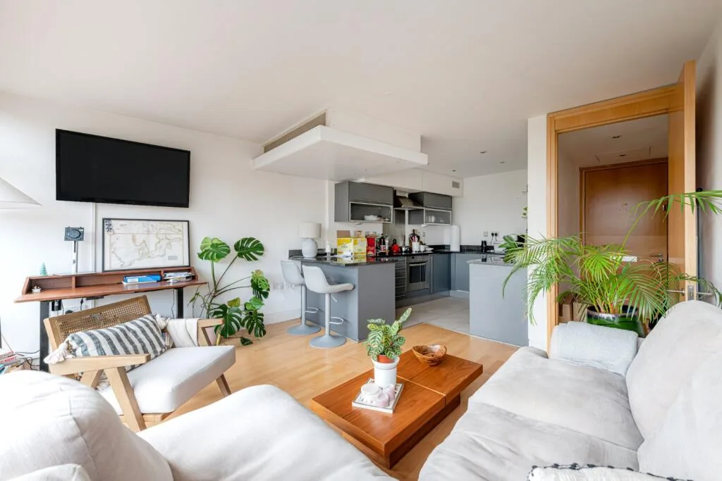 1 bedroom apartment for rent