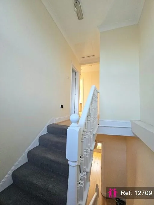 5 bedroom apartment for rent