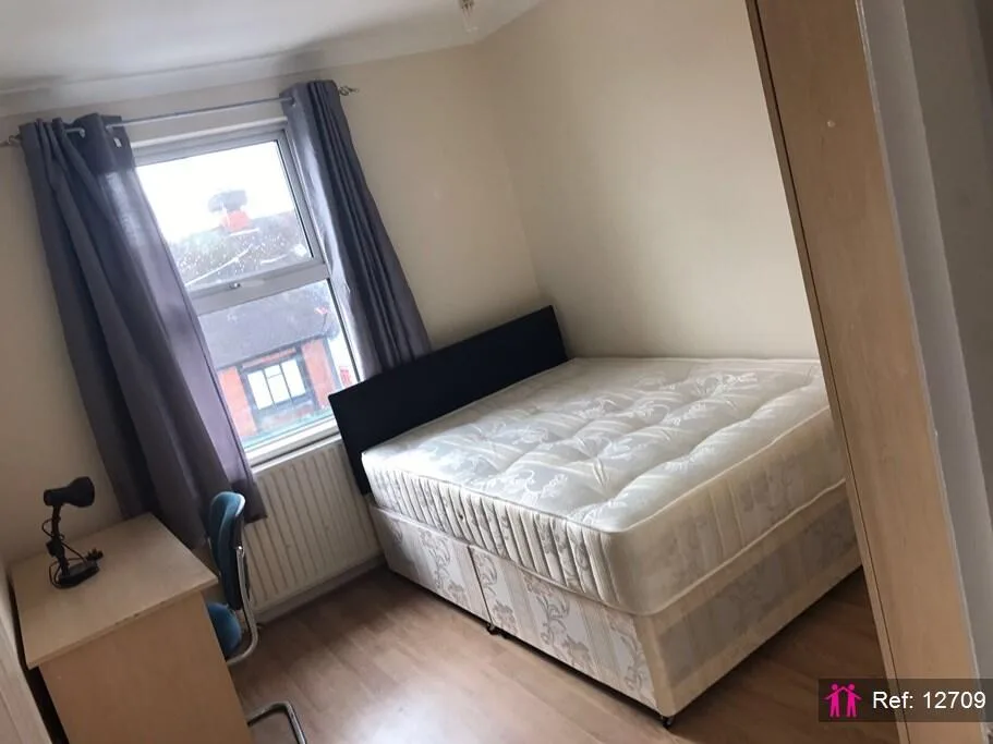5 bedroom apartment for rent