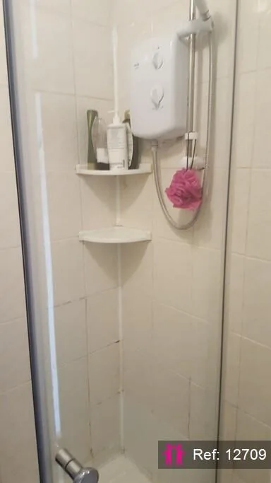 5 bedroom apartment for rent