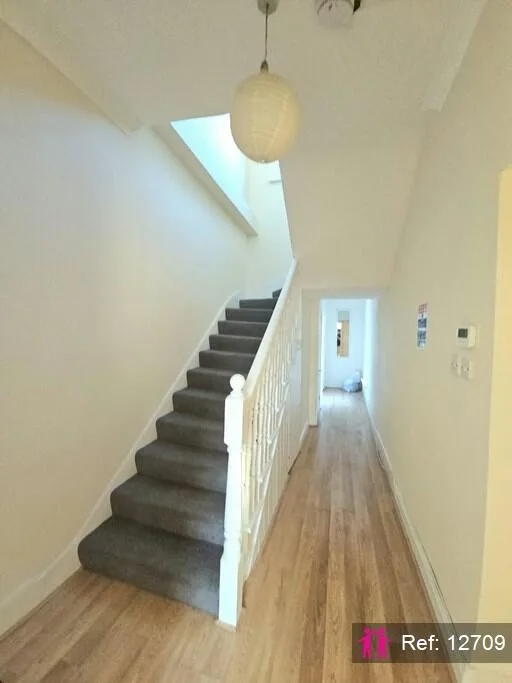 5 bedroom apartment for rent
