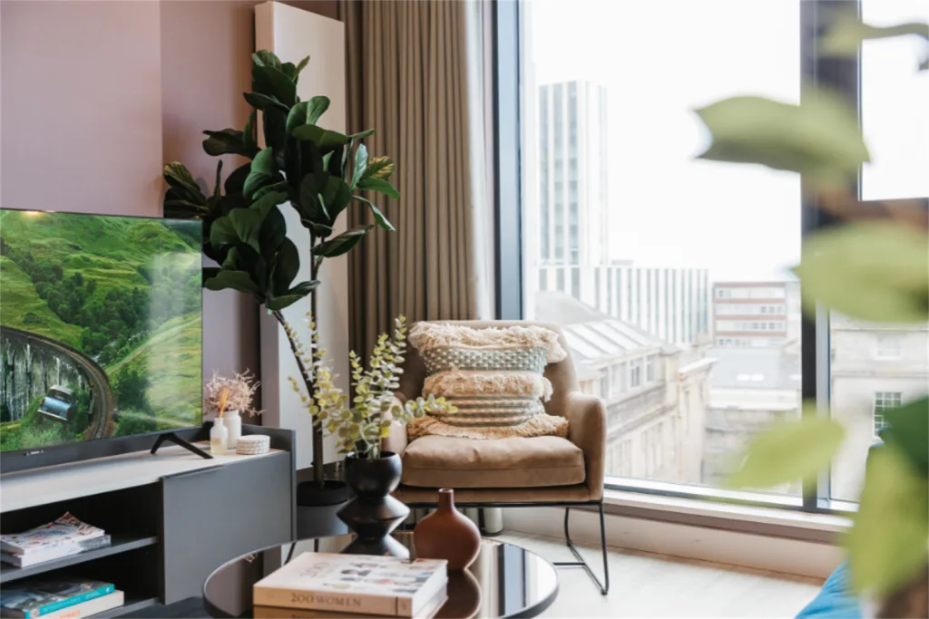 1 bedroom apartment for rent