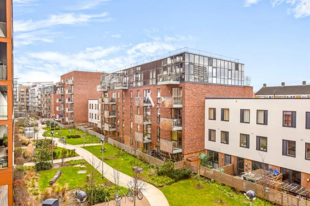 1 bedroom apartment for rent