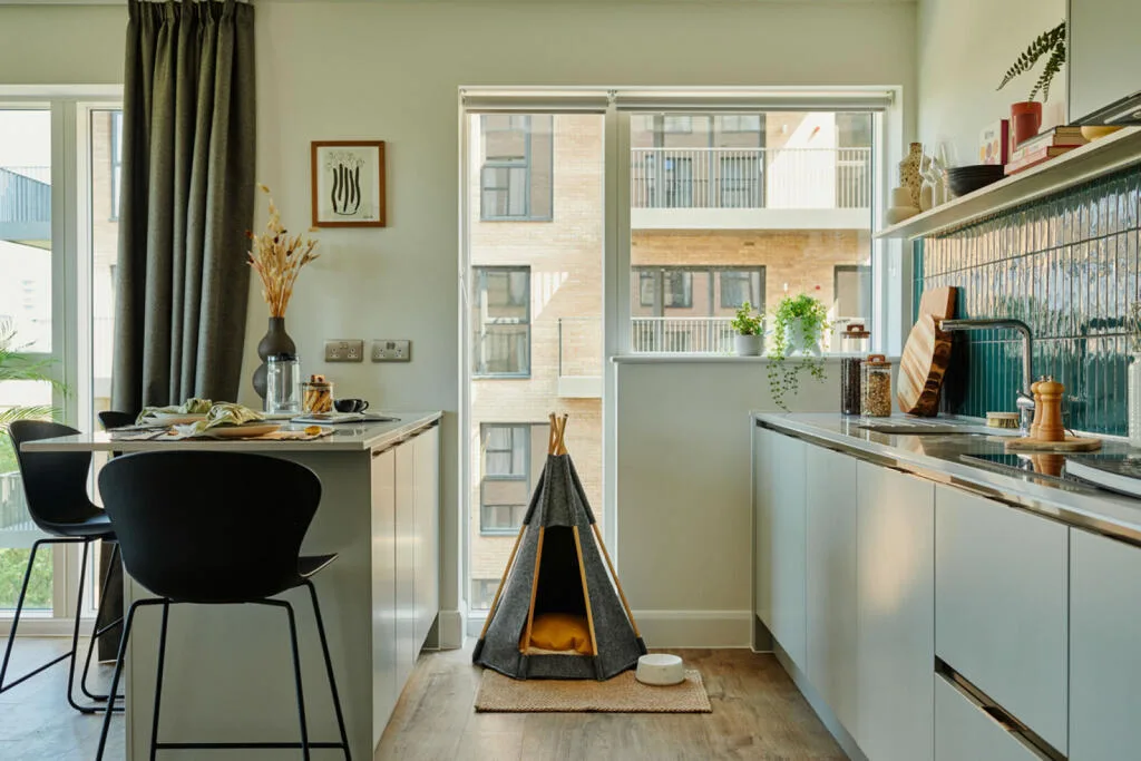 1 bedroom apartment for rent