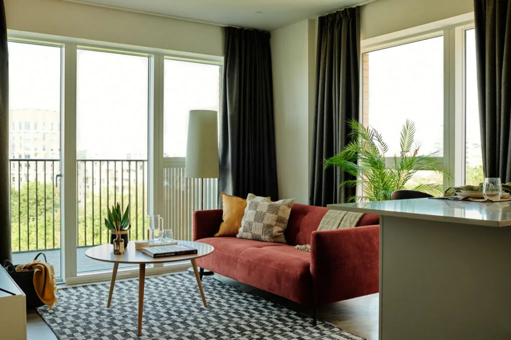 1 bedroom apartment for rent