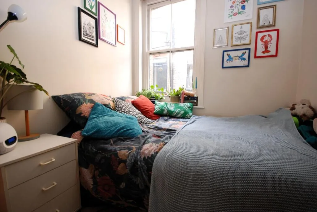 3 bedroom apartment for rent