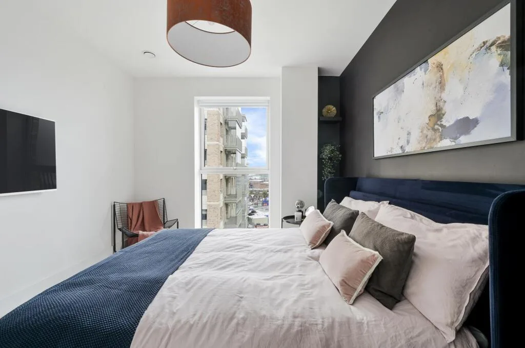 1 bedroom apartment for rent