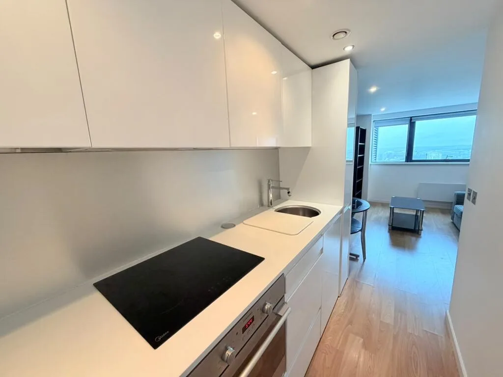 1 bedroom apartment for rent