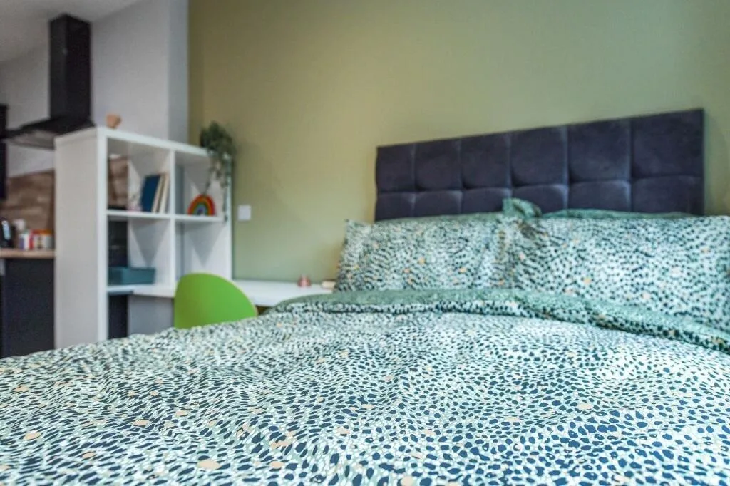 1 bedroom flat for rent