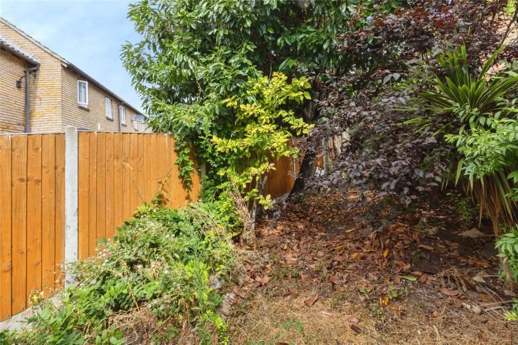 3 bedroom detached house for rent