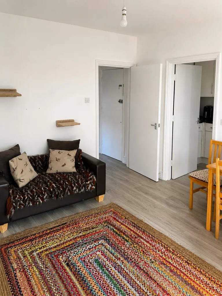 1 bedroom apartment for rent