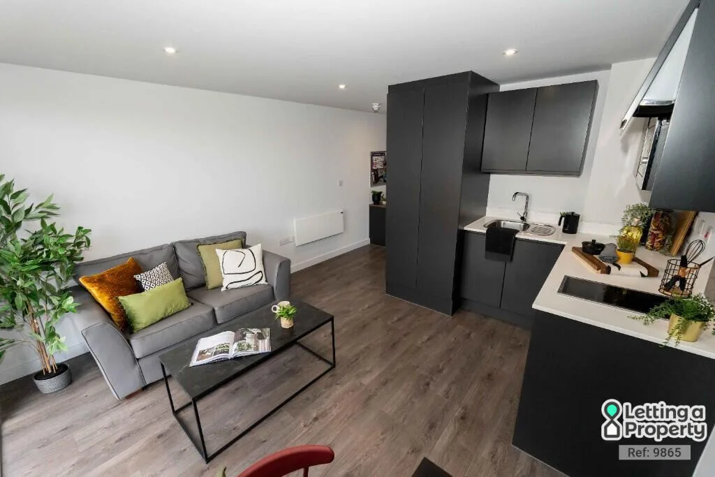 1 bedroom apartment for rent