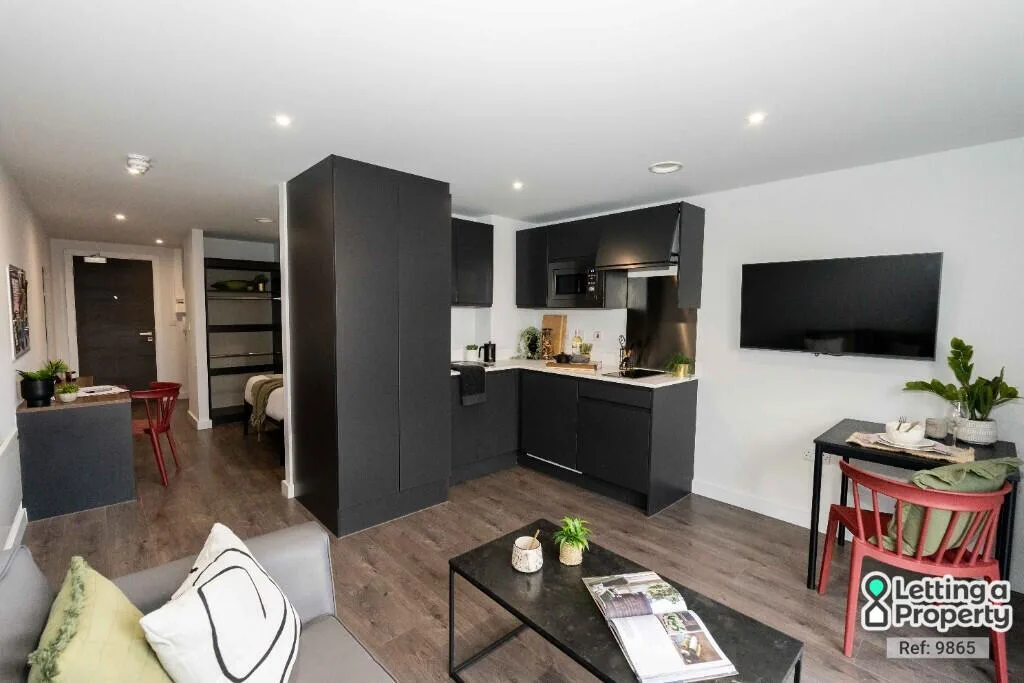 1 bedroom apartment for rent