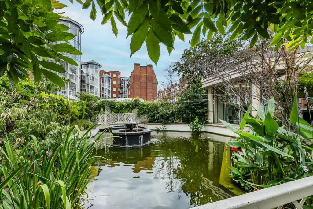 3 bedroom penthouse for rent