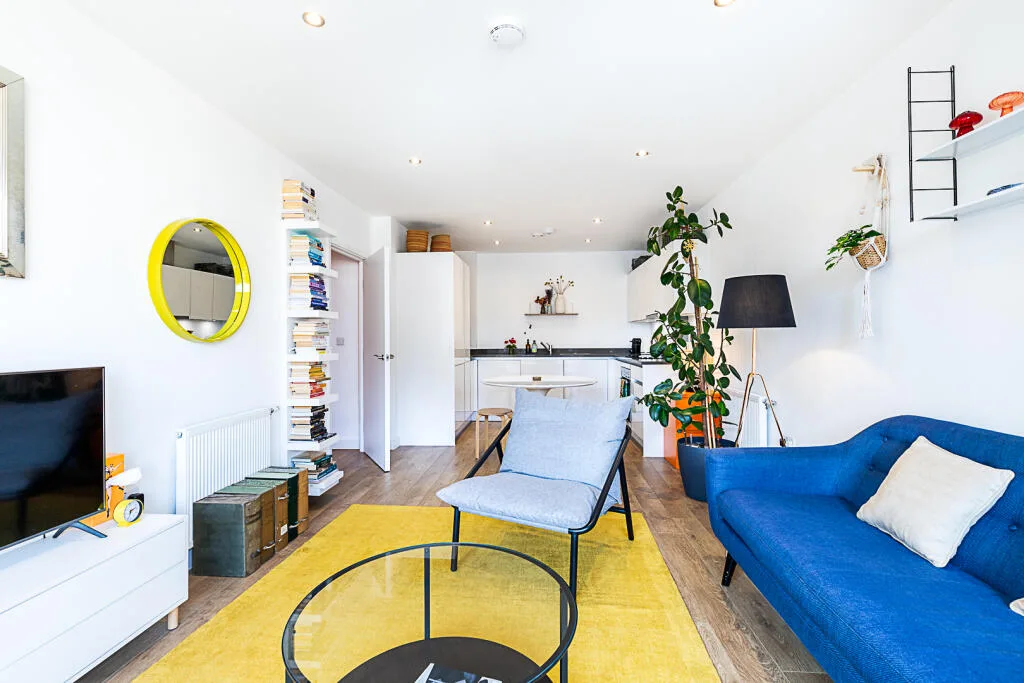1 bedroom flat for rent