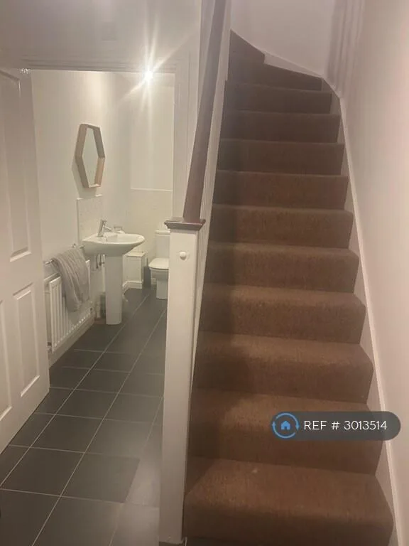 Studio flat for rent