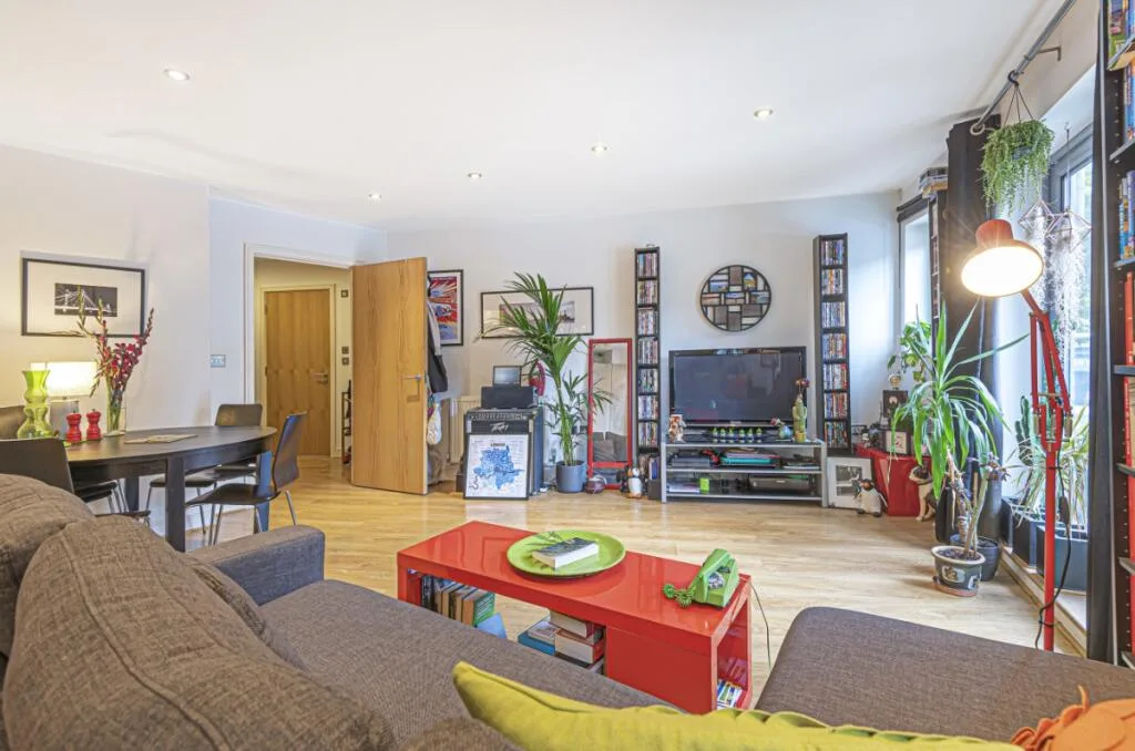 1 bedroom flat for rent