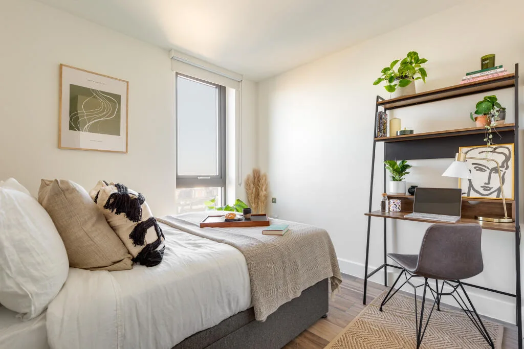 1 bedroom apartment for rent