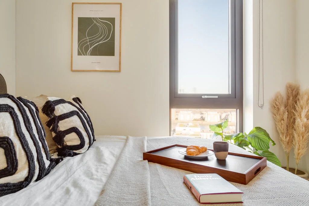 1 bedroom apartment for rent