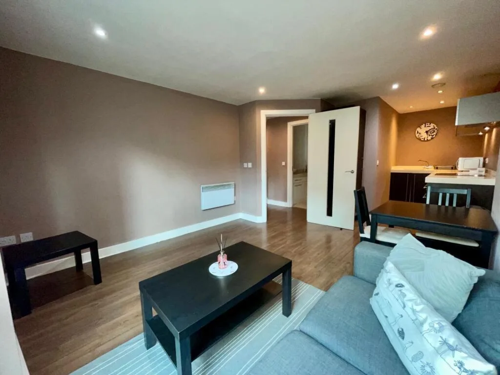 1 bedroom apartment for rent