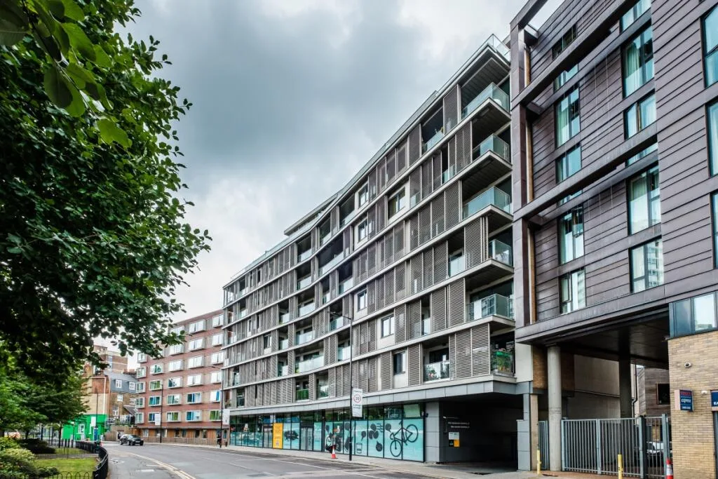 1 bedroom apartment for rent