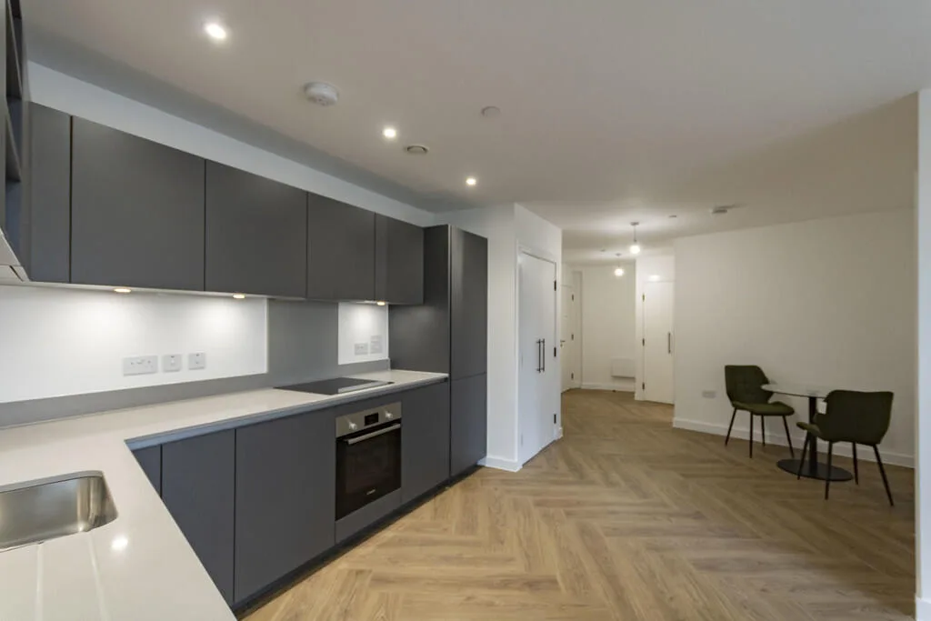 1 bedroom apartment for rent