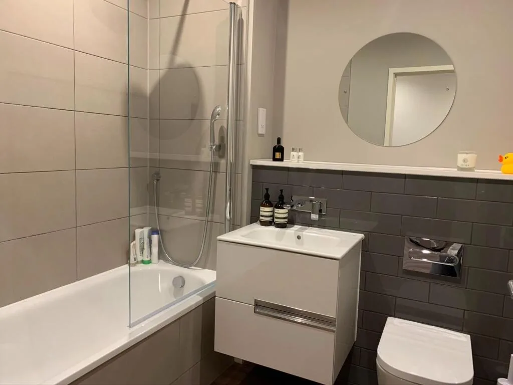1 bedroom apartment for rent