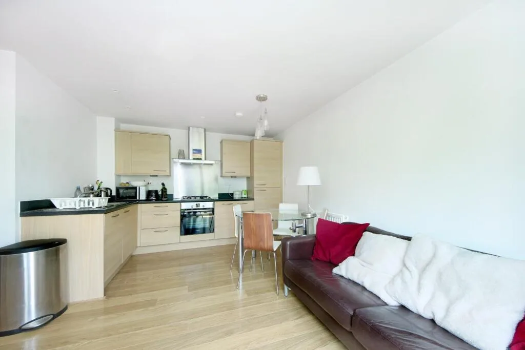 1 bedroom apartment for rent