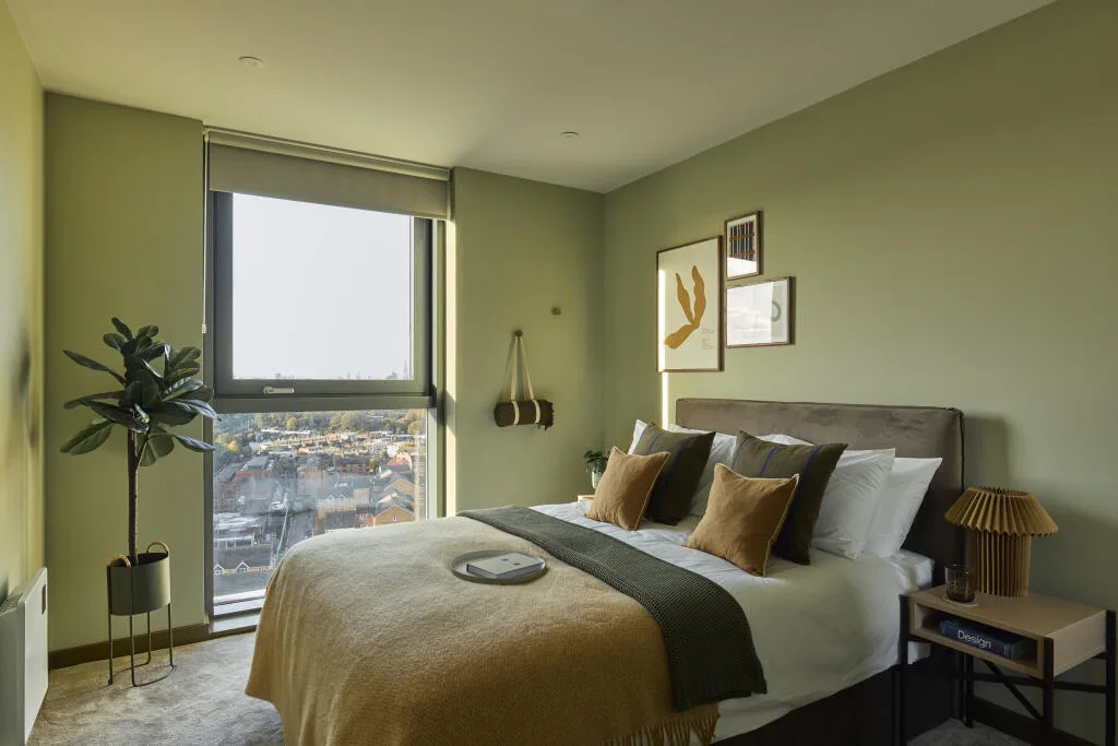 1 bedroom flat for rent