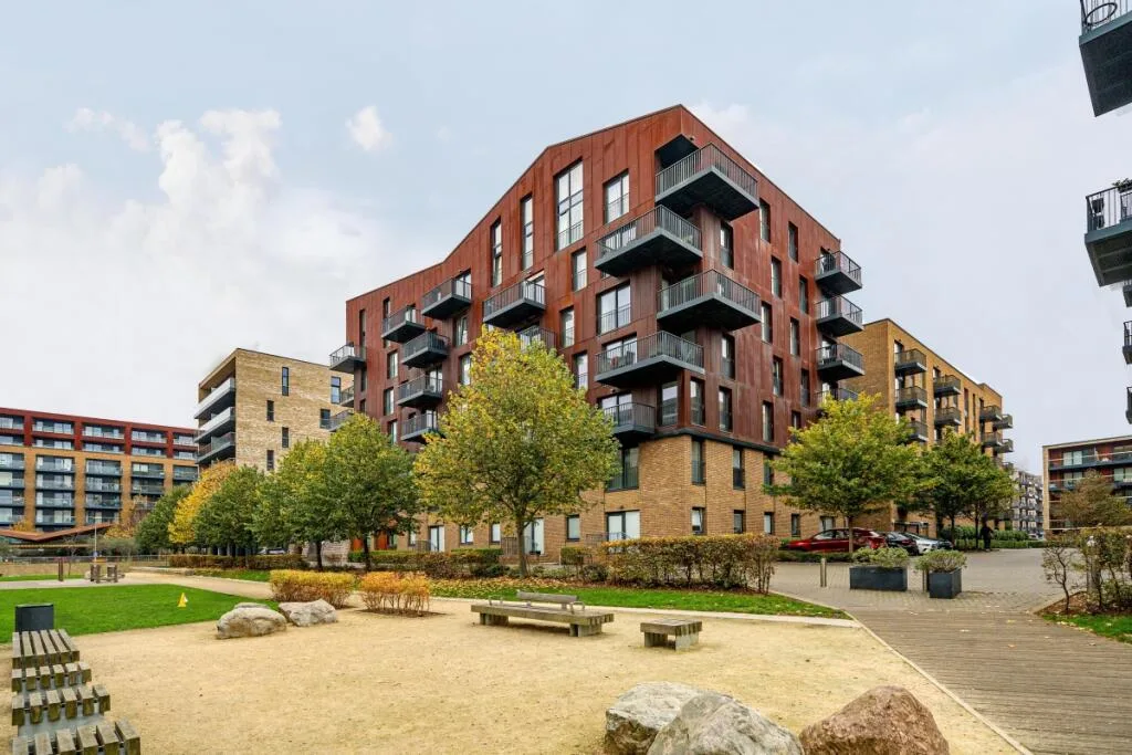 1 bedroom apartment for rent