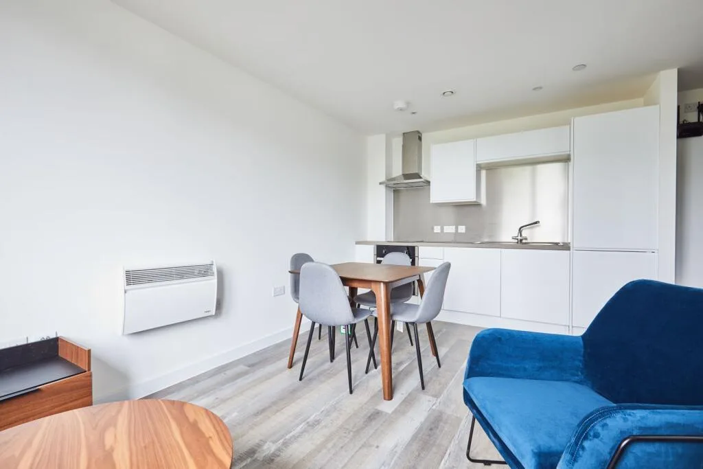 1 bedroom flat for rent