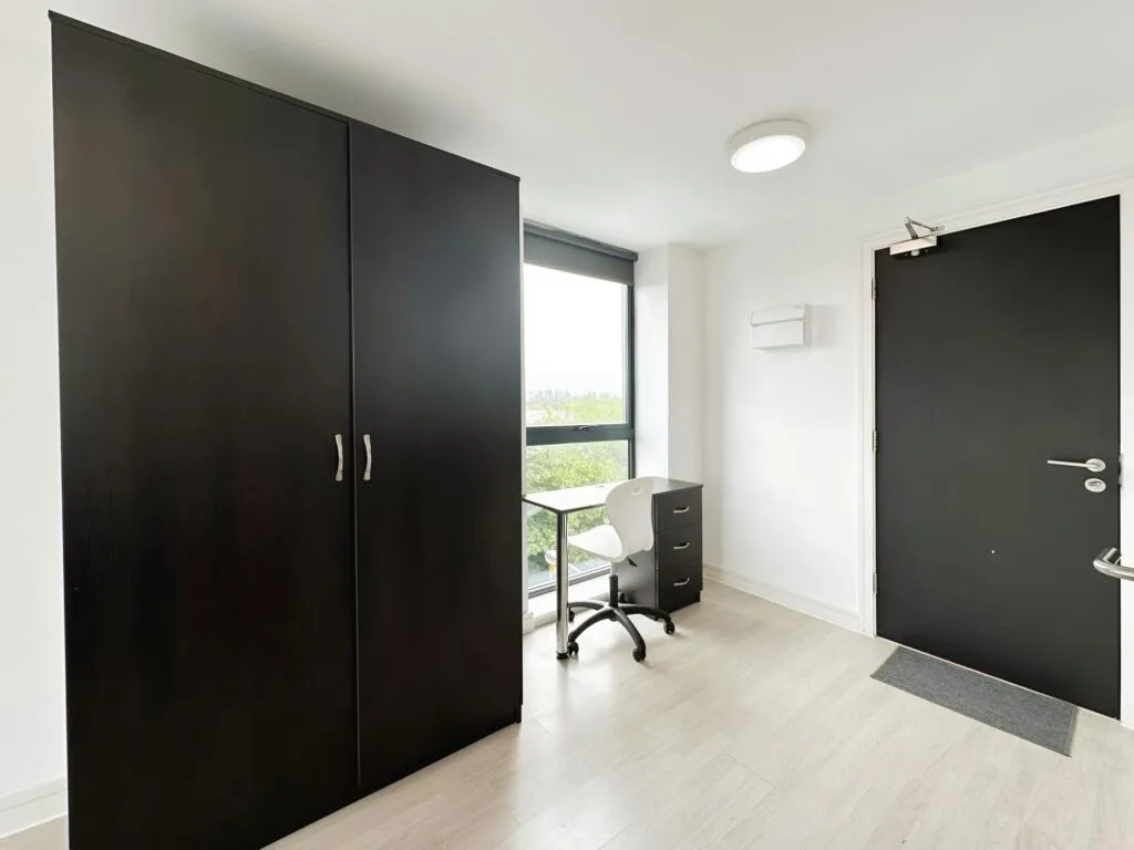 Studio flat for rent