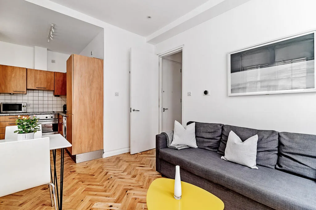 1 bedroom apartment for rent