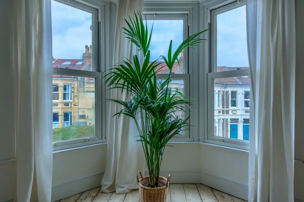 3 bedroom semi-detached house for rent