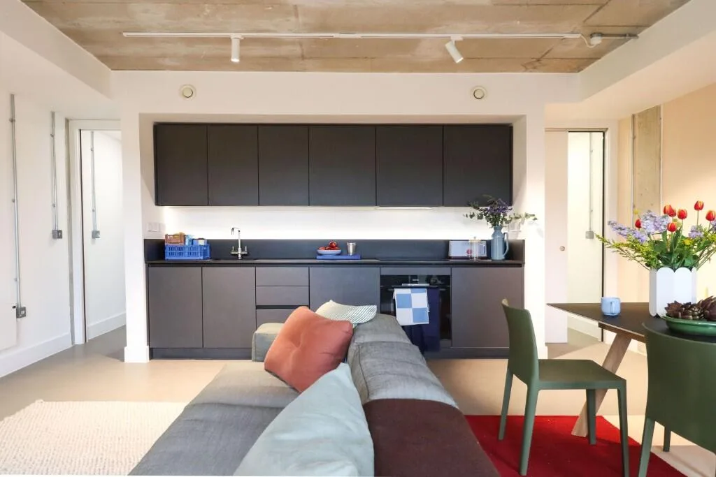 1 bedroom duplex for rent