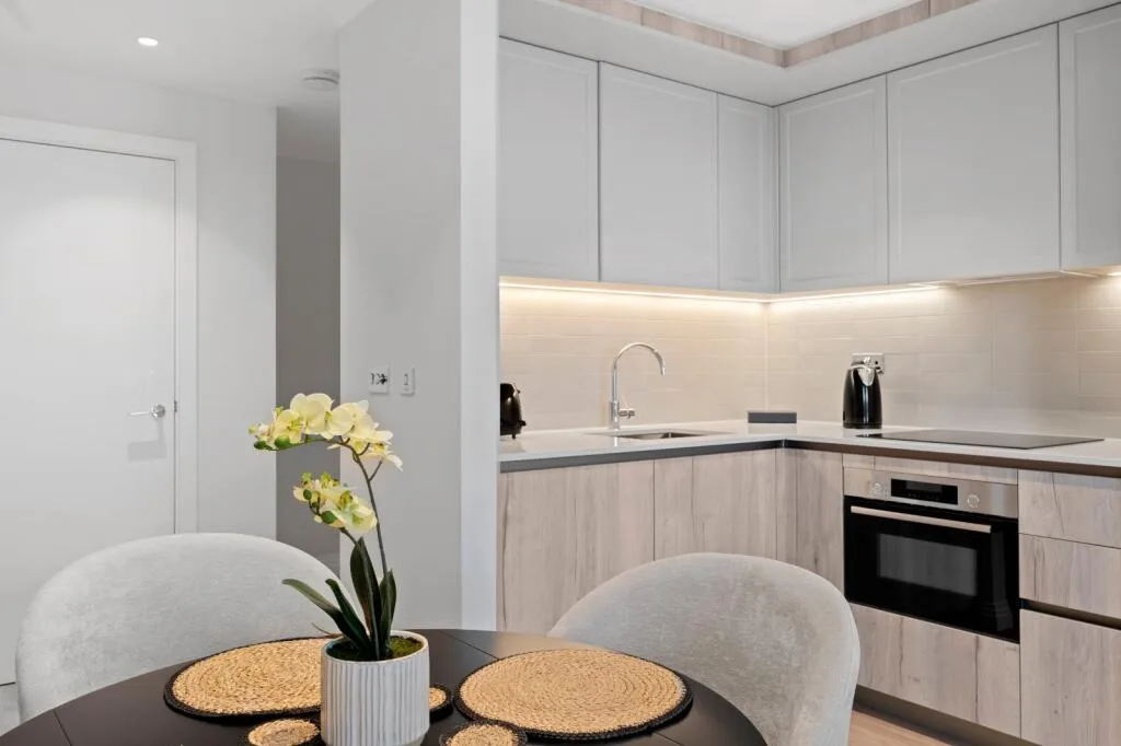 1 bedroom apartment for rent