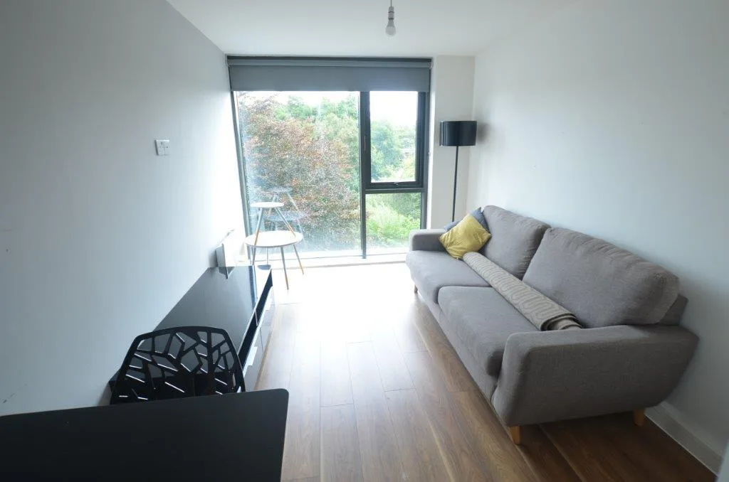 1 bedroom apartment for rent