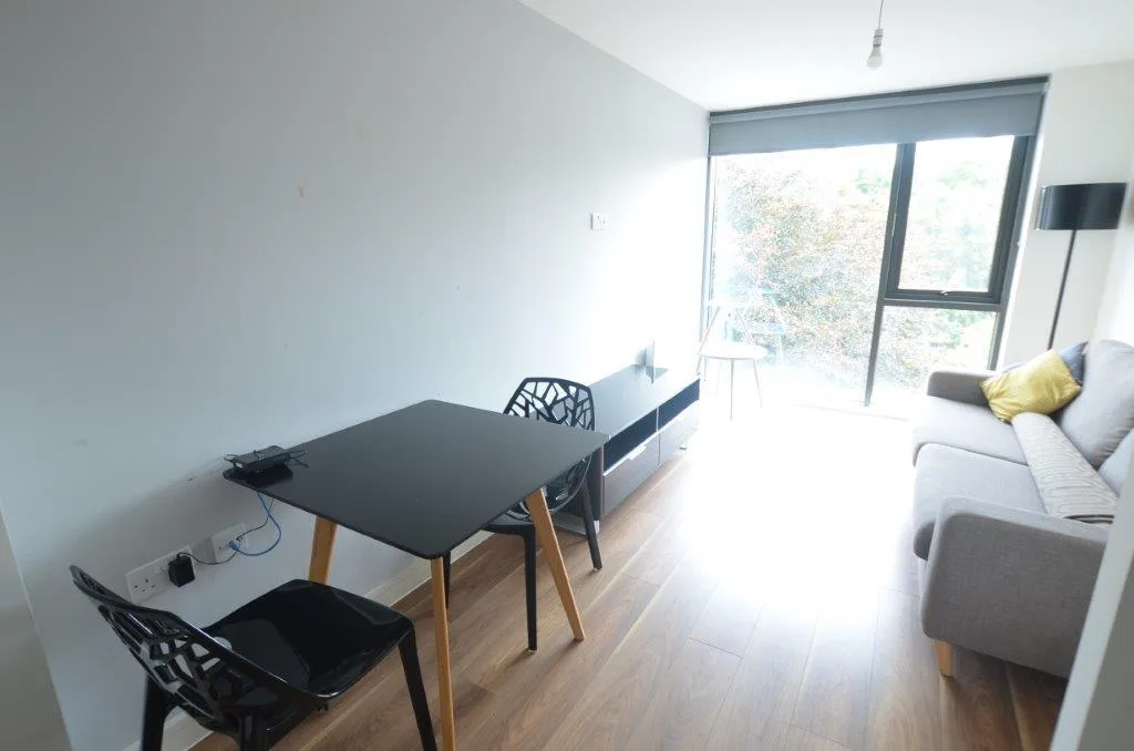 1 bedroom apartment for rent