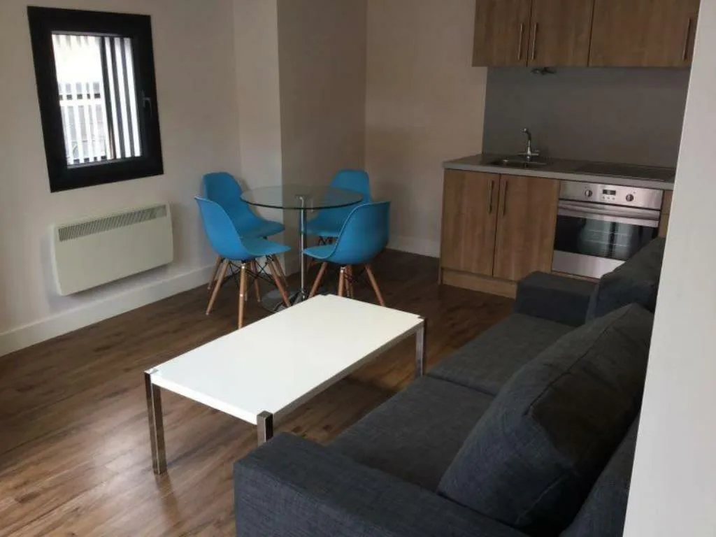 1 bedroom apartment for rent