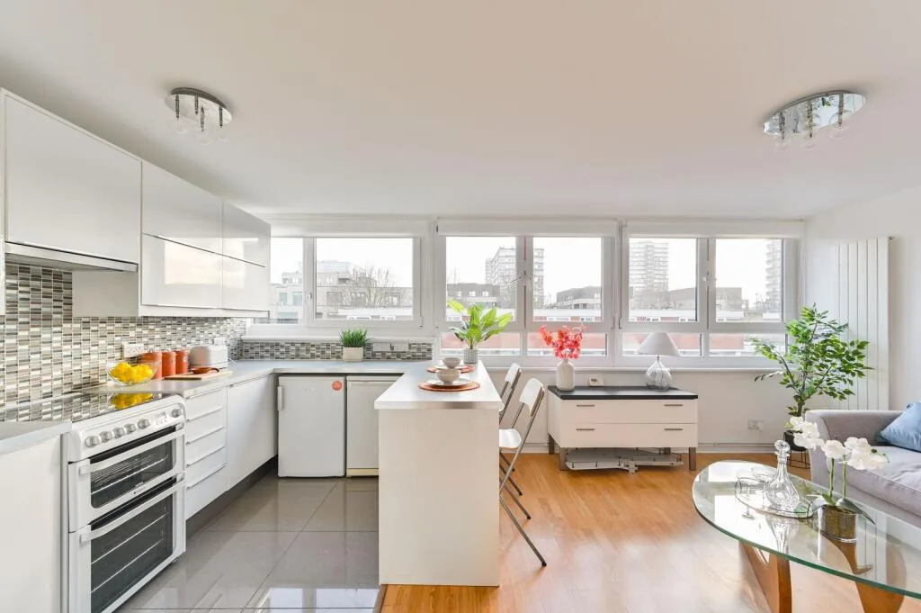 1 bedroom flat for rent