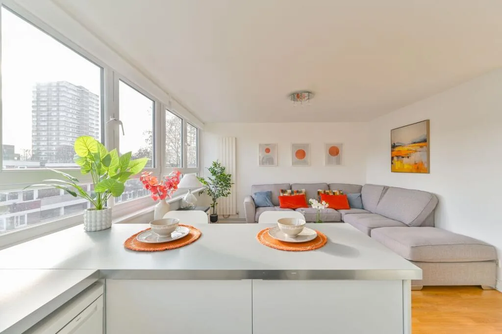 1 bedroom flat for rent