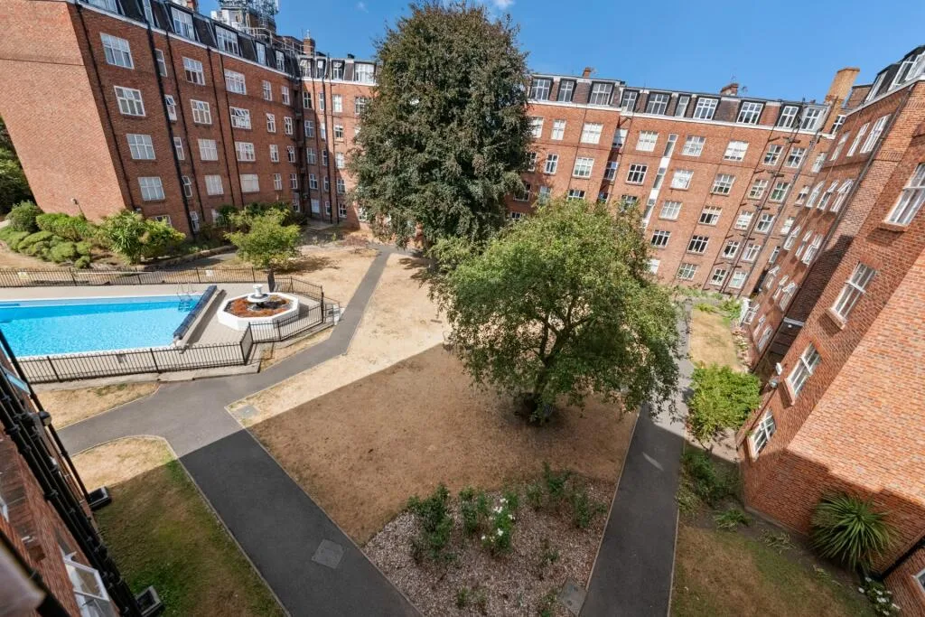 3 bedroom flat for rent