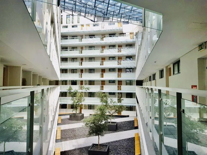 1 bedroom apartment for rent