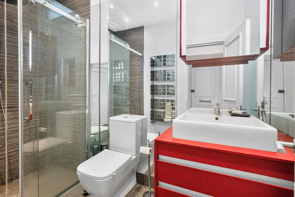1 bedroom apartment for rent