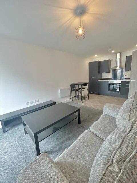 1 bedroom apartment for rent