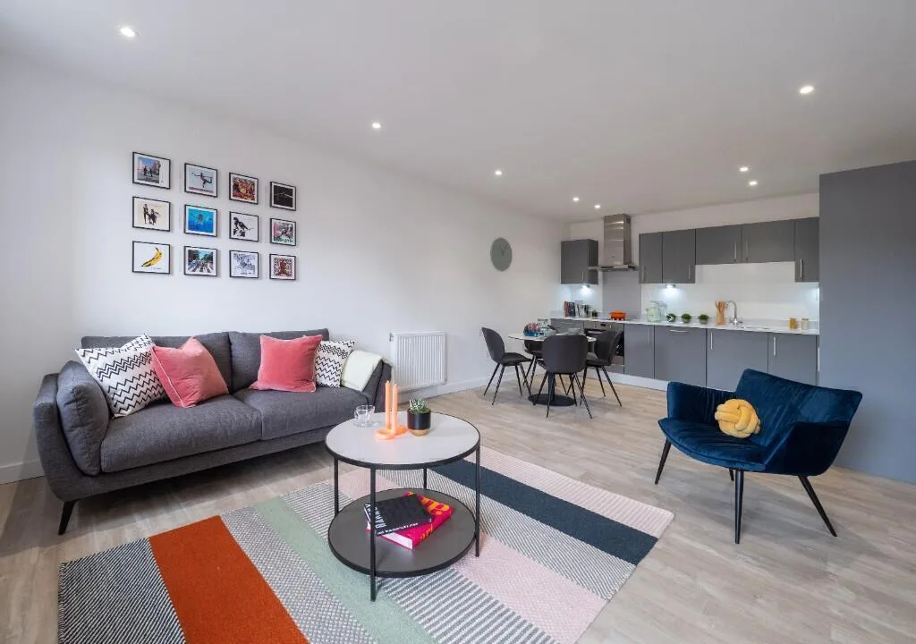1 bedroom apartment for rent