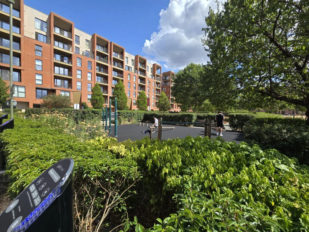 1 bedroom apartment for rent