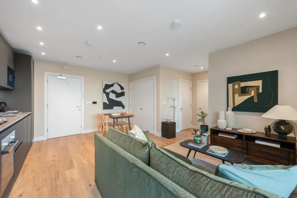 1 bedroom apartment for rent